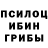 Галлюциногенные грибы Cubensis _Mr_standoff_ _YT_