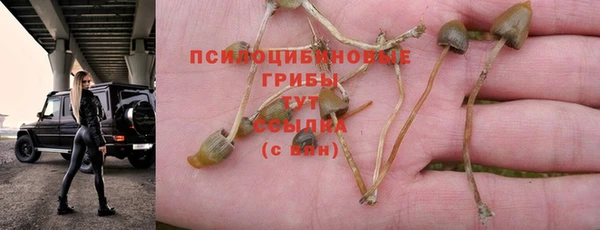 apvp Семёнов