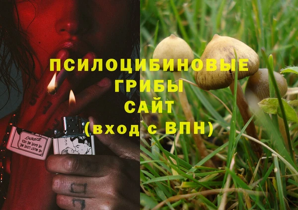 apvp Семёнов