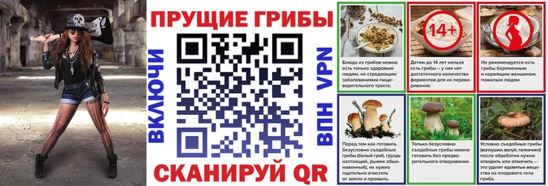 Купить  Таштагол  Псилоцибиновые грибы MAGIC MUSHROOMS 